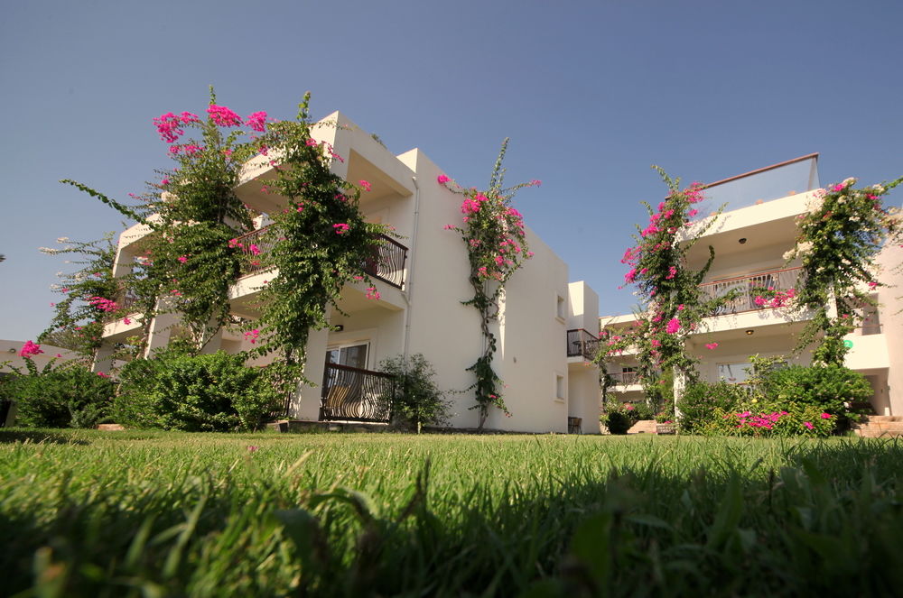 Fotos del hotel - Trendlife Hotels Torba