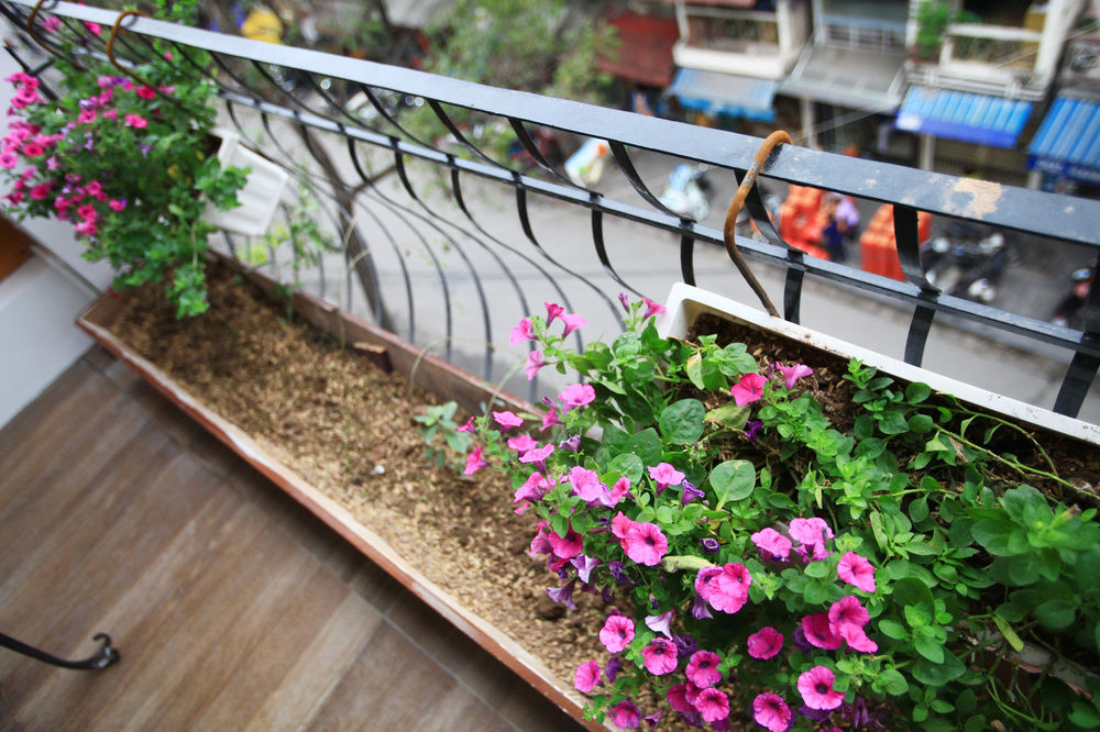 Fotos del hotel - MERACUS II HOTEL HANOI