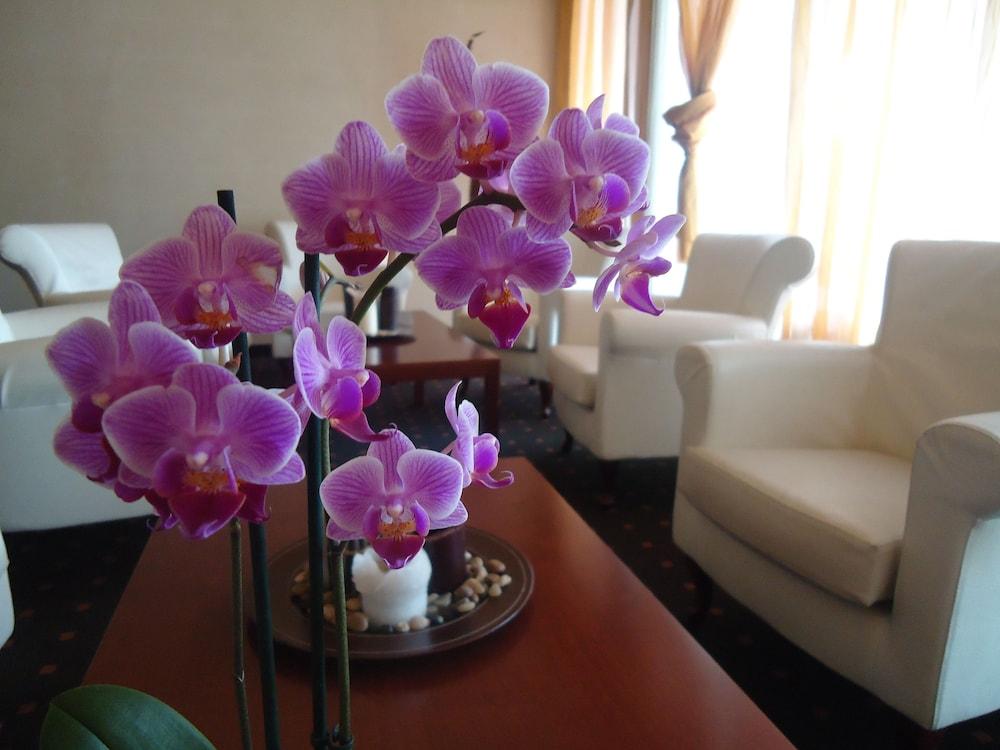 Fotos del hotel - CH Hotel Giada Inn