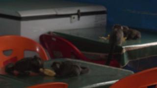 Fotos del hotel - O Principe