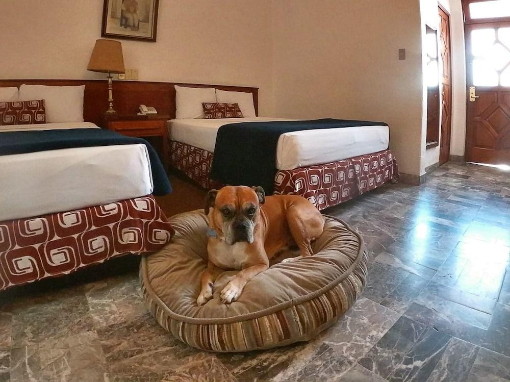 Fotos del hotel - GRAN HOTEL MEXICO