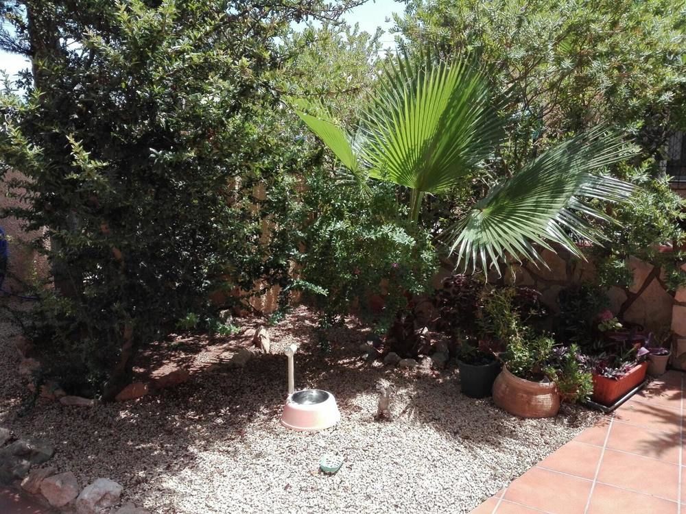 HOUSE WITH 3 BEDROOMS IN LA MANGA; CARTAGENA; WITH ENCLOSED GARDEN AND WIFI - 100 M FROM THE BEACH