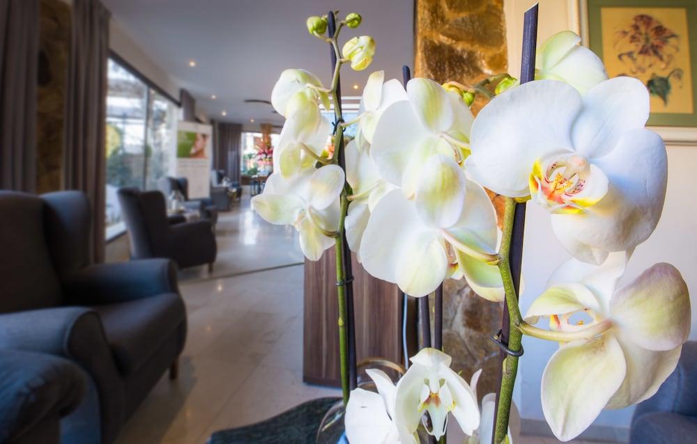 Fotos del hotel - EDEN ROC HOTEL
