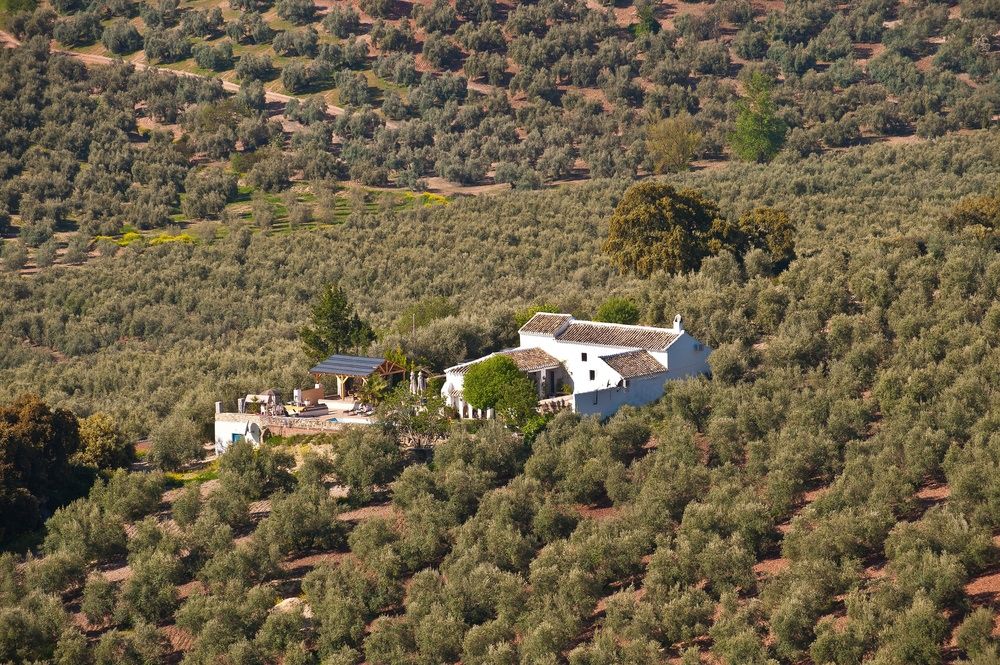 Cortijo La Haza