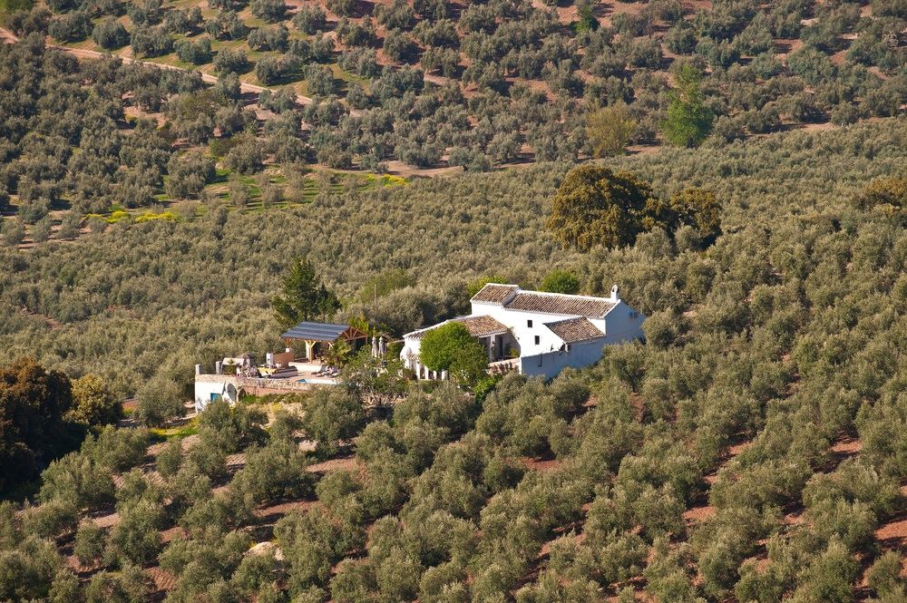 CORTIJO LA HAZA