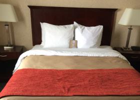 Fotos del hotel - Comfort Inn Mississauga
