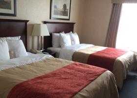 Fotos del hotel - Comfort Inn Mississauga