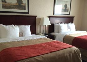 Fotos del hotel - Comfort Inn Mississauga