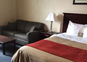 Fotos del hotel - Comfort Inn Mississauga