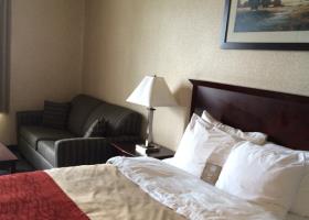 Fotos del hotel - Comfort Inn Mississauga