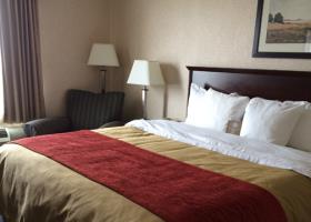 Fotos del hotel - Comfort Inn Mississauga