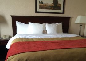 Fotos del hotel - Comfort Inn Mississauga
