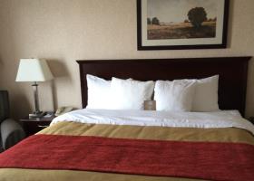 Fotos del hotel - Comfort Inn Mississauga