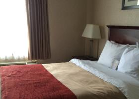 Fotos del hotel - Comfort Inn Mississauga