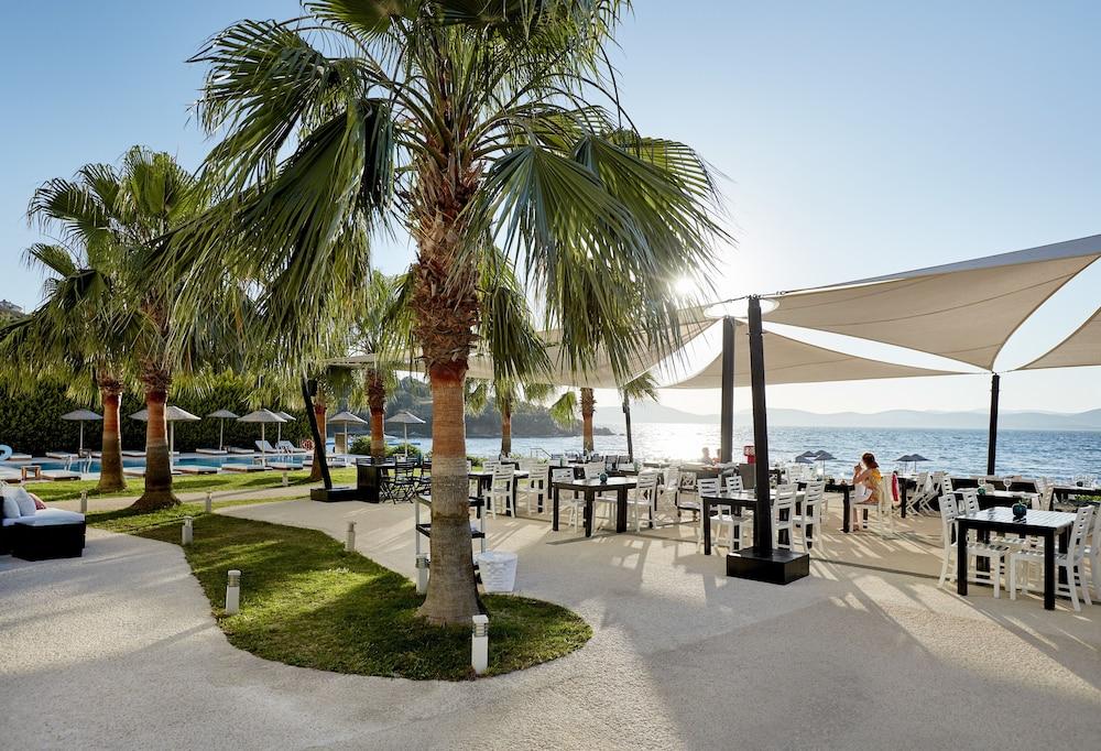 Fotos del hotel - Med-Inn Hotel