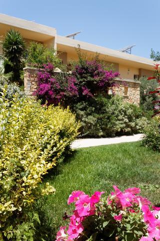 Fotos del hotel - Indigo Mare