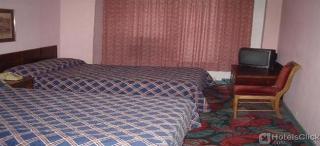 Fotos del hotel - THE CARTER HOTEL