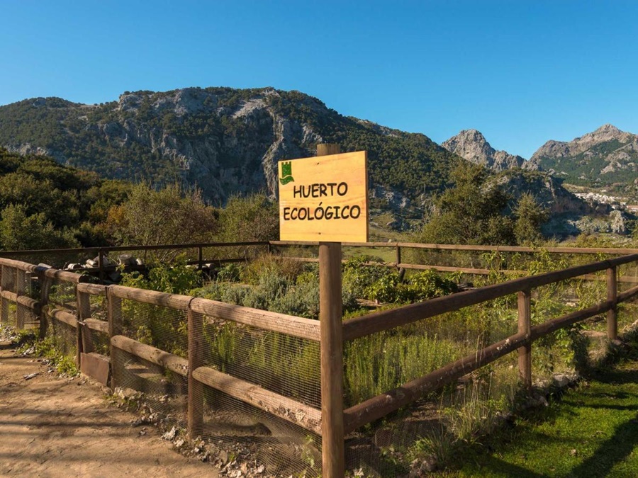 Fotos del hotel - FUERTE GRAZALEMA