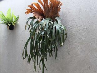 Fotos del hotel - Casa Living Setiabudi Jakarta