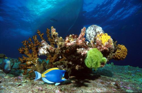 Fotos del hotel - The Green House