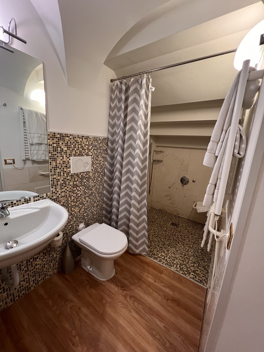 Fotos del hotel - Ruzzini Palace Hotel