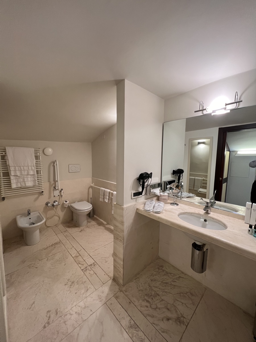 Fotos del hotel - Ruzzini Palace Hotel