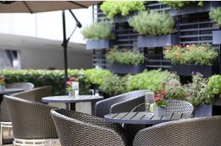 Fotos del hotel - CHENGYUE HOLIDAY HOTEL WENJINDU BRANCH