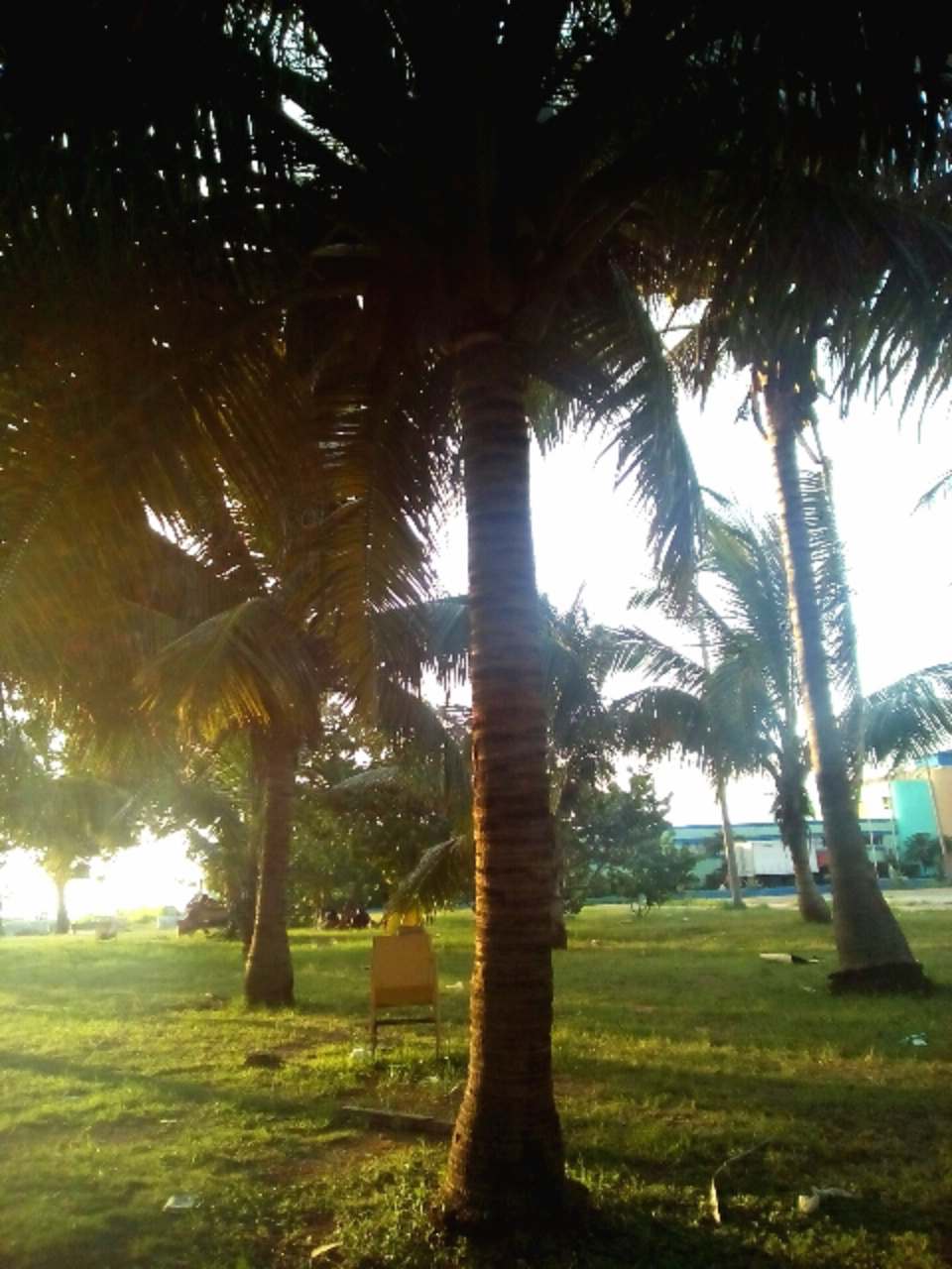 Fotos del hotel - CIUDAD Y PLAYA