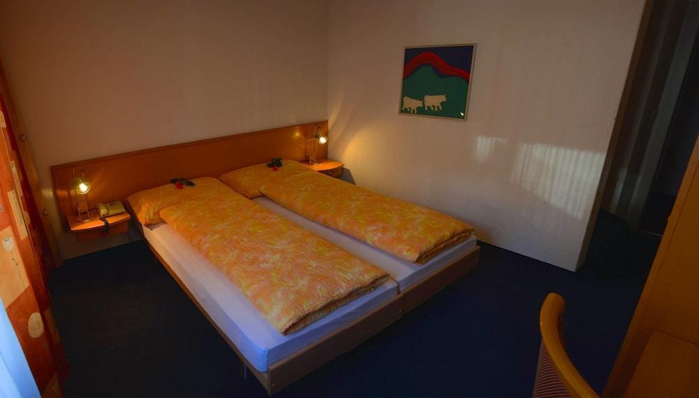 Fotos del hotel - Eigerblick-Silberhorn AG