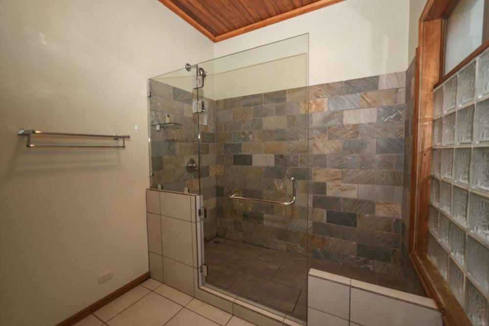Fotos del hotel - Hotel Ficus Monteverde