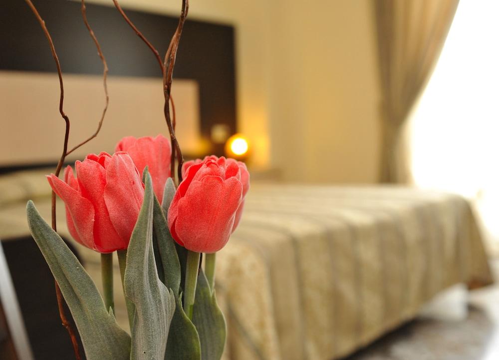 Fotos del hotel - Hotel Gabbiano