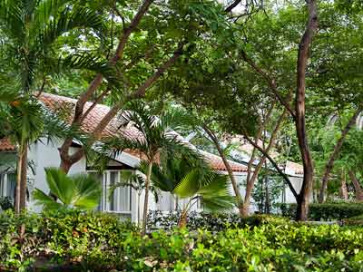 Fotos del hotel - Irotama XXI