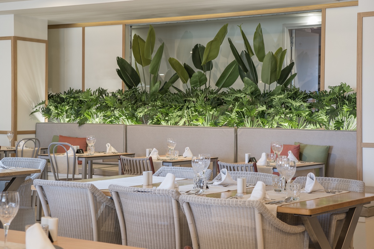 Fotos del hotel - HOTEL LIVVO ANAMAR SUITES