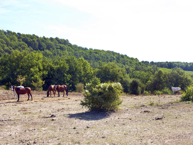 Fotos del hotel - DOMAINE DE CAMIOLE