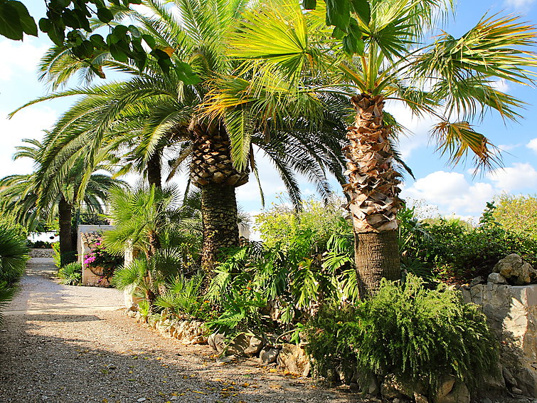 Fotos del hotel - FINCA CIFRE