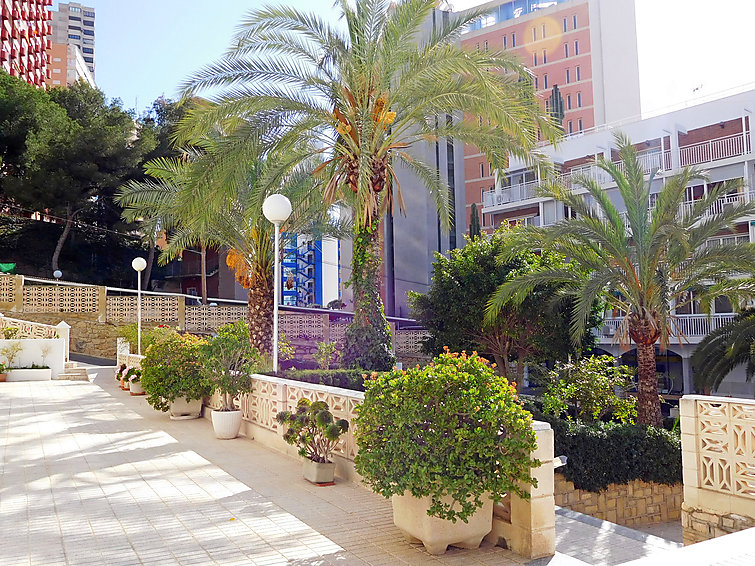 Fotos del hotel - HALCON LEVANTE