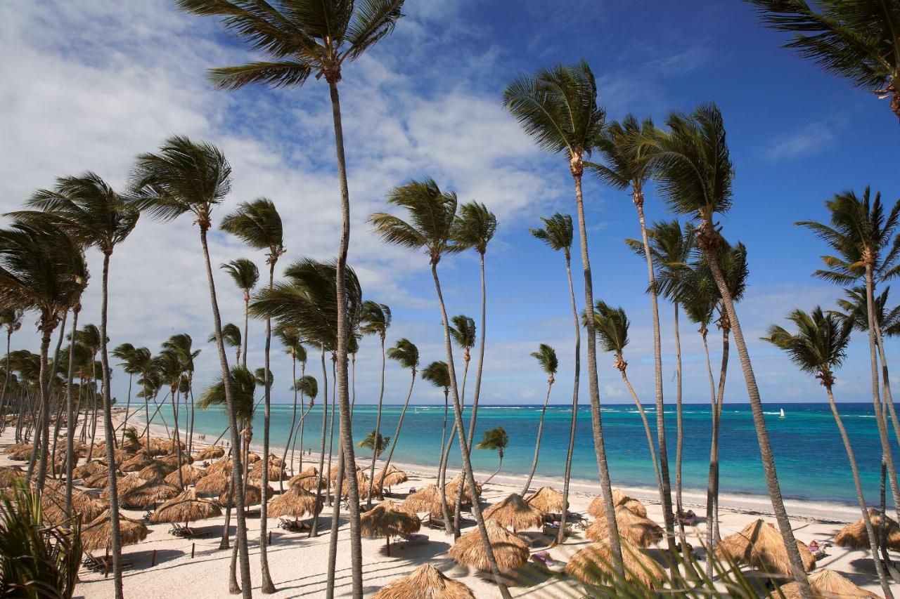 Fotos del hotel - Zel Punta Cana