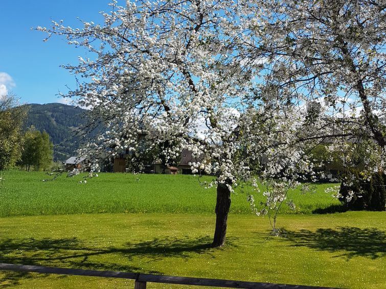 Fotos del hotel - LUNGAU