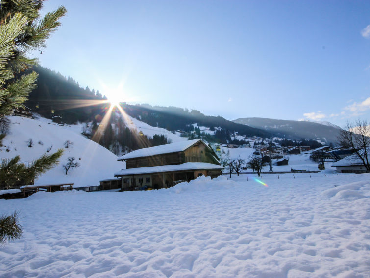 Fotos del hotel - ALPENROSE