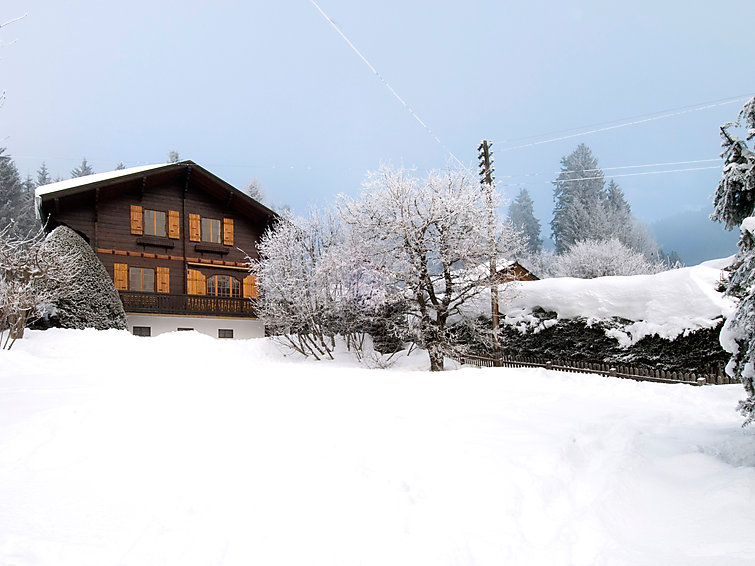 Fotos del hotel - CHALET MERYMONT
