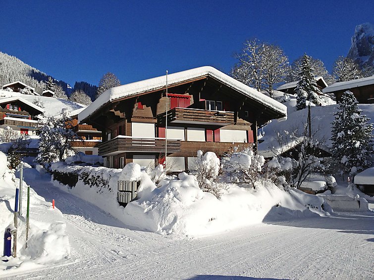 Fotos del hotel - CHALET BERGFINK