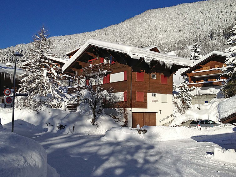 Fotos del hotel - CHALET BERGFINK