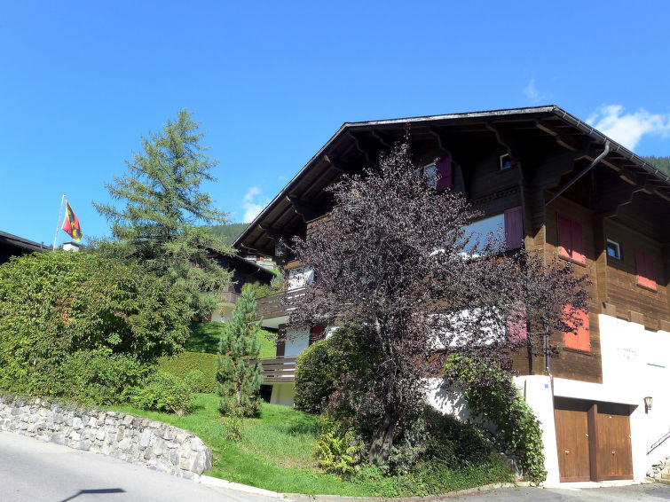 Fotos del hotel - CHALET BERGFINK