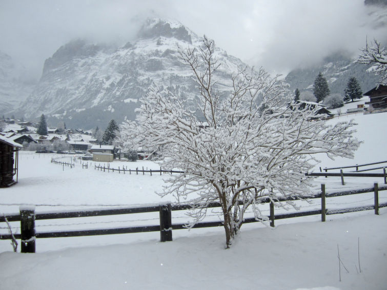 Fotos del hotel - CHALET CHILCHBODEN