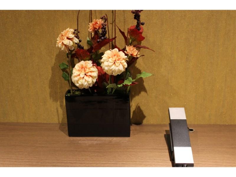 Fotos del hotel - Urbain Kyoto Shijo Omiya