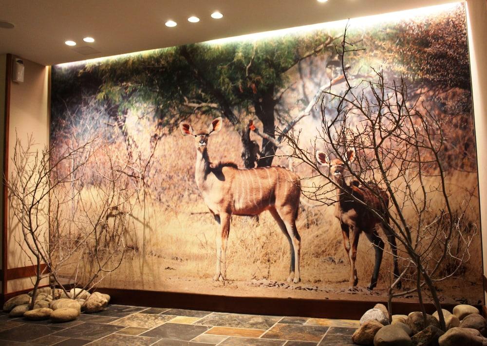 Fotos del hotel - Park-Hotel Hagenbeck
