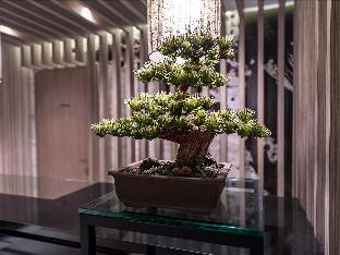 Fotos del hotel - Hotel Ann Asakusa