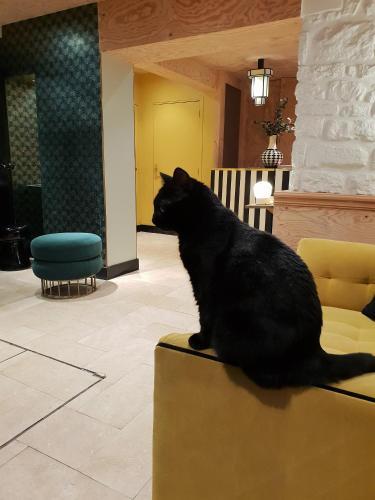 Fotos del hotel - Denfert-Montparnasse