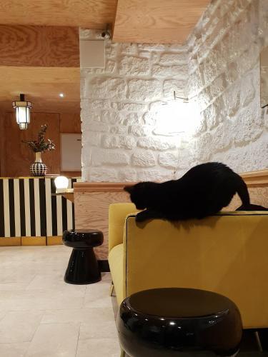Fotos del hotel - Denfert-Montparnasse