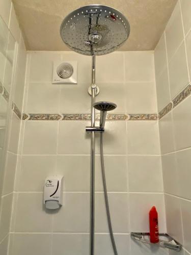 Fotos del hotel - Hotel Studia